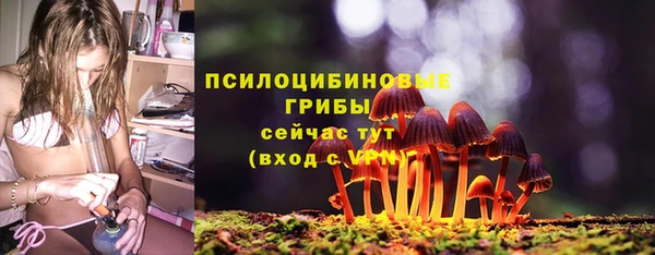 герыч Алзамай