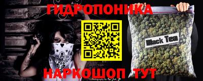 соль ск Балахна
