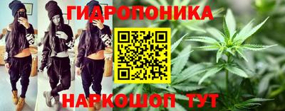 прущие грибы Балаково