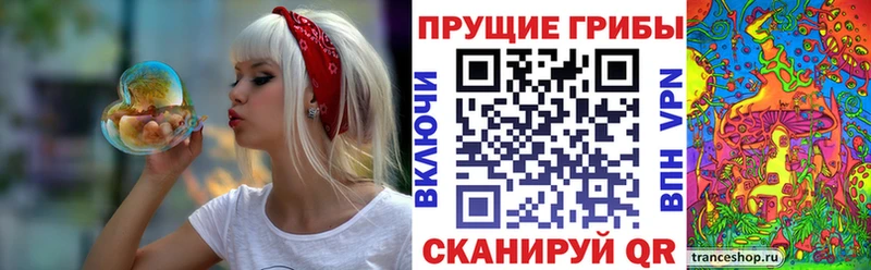 купить наркотики цена Балабаново Галлюциногенные грибы MAGIC MUSHROOMS