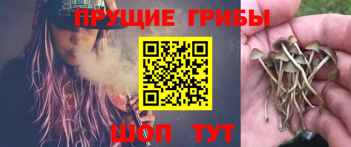 Балабаново  как найти закладки  Вход с VPN  Галлюциногенные грибы Psilocybe 